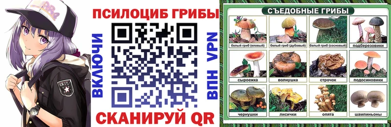 закладка  Шимановск  Псилоцибиновые грибы GOLDEN TEACHER 